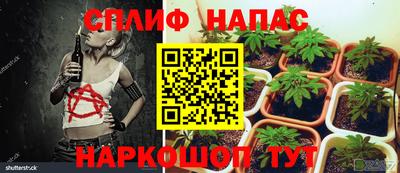 эйфоретик Лесосибирск