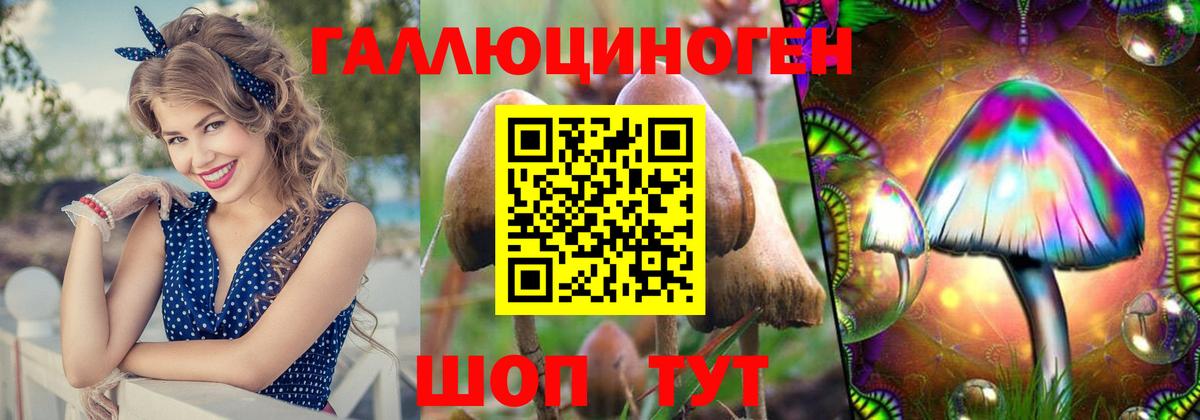 Галлюциногенные грибы GOLDEN TEACHER  Вход с VPN  Ипатово  Псилоцибиновые грибы прущие грибы 